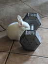 lola.luvgood Altpins Profile Picture