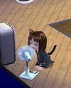 lolalovegoood Altpins Profile Picture