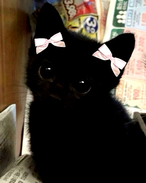 lolaxyummy lolaxyummy archive image