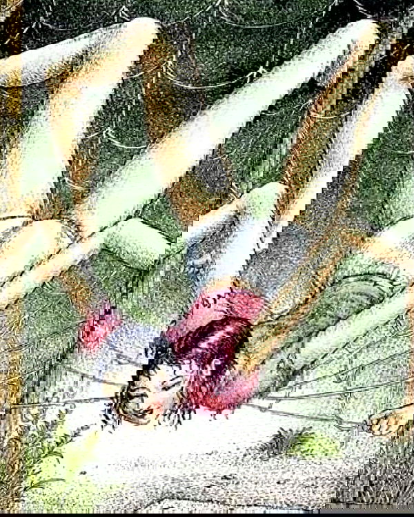 lolaxyummy lolaxyummy archive image