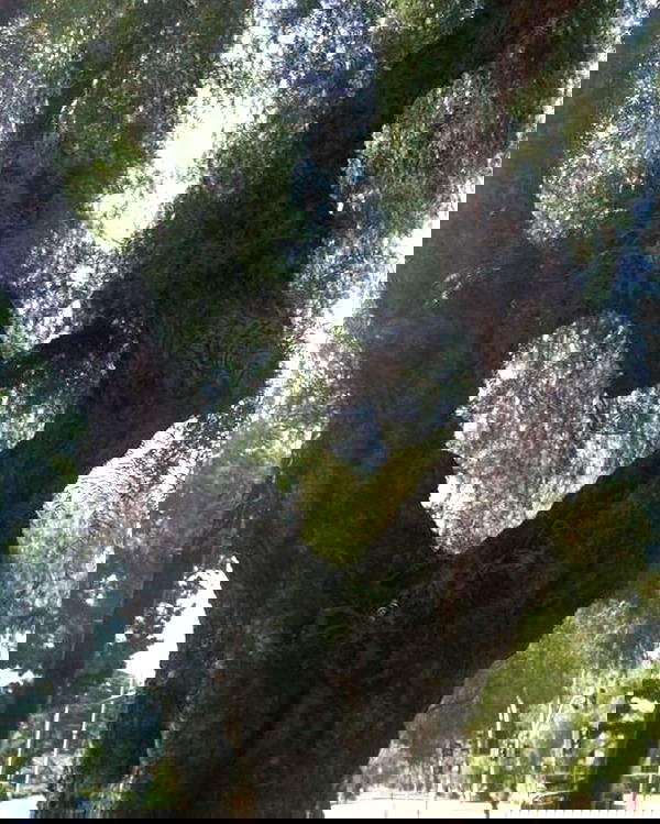 lolaxyummy lolaxyummy archive image