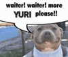 lolyomie Altpins Profile Picture