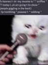 lolyomie Altpins Profile Picture