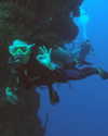 lotembar Altpins Profile Picture