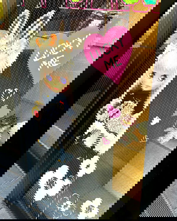 lov3smee image ~ Altpins