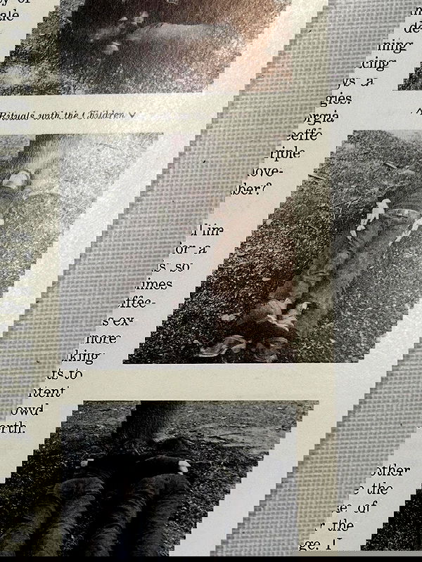 lov3smee image ~ Altpins