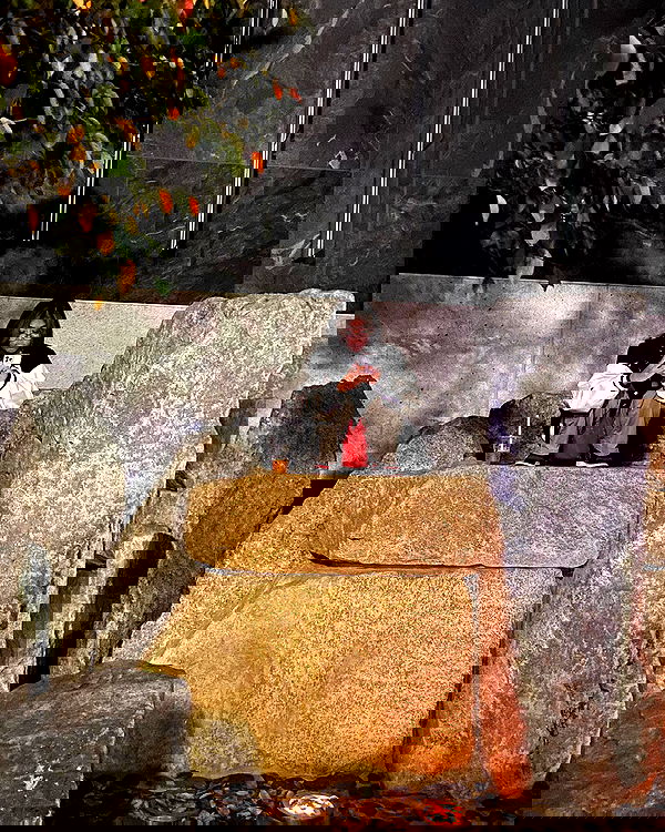 lovemeize lovemeize archive image