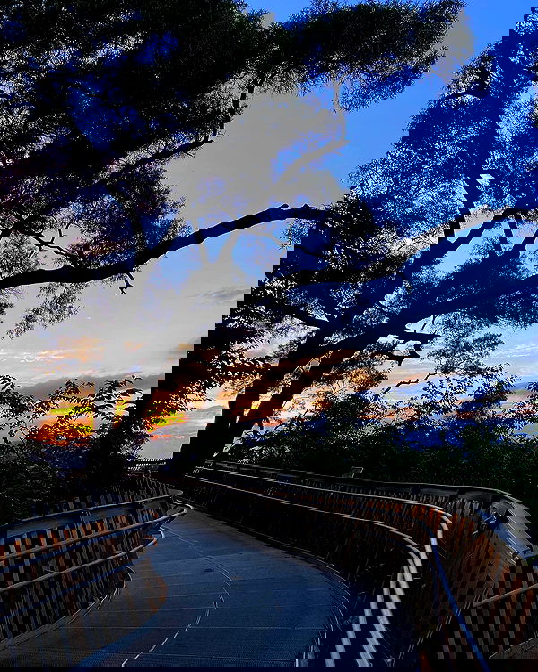 lovemeize lovemeize archive image