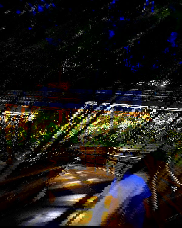 lovemeize lovemeize archive image