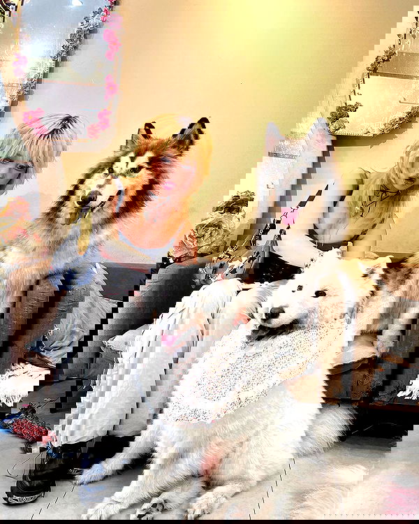 lovemeize lovemeize archive image