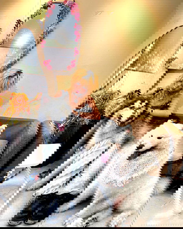 lovemeize lovemeize archive image