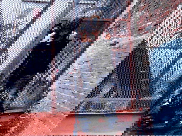 lovemeize lovemeize archive image