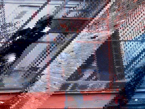 lovemeize lovemeize archive image