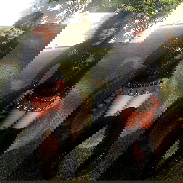 lovemeize lovemeize archive image