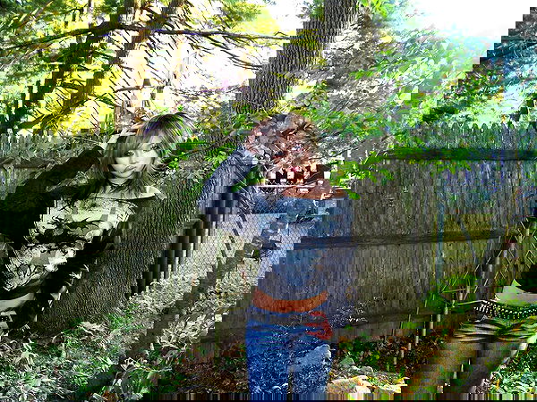 lovemeize lovemeize archive image