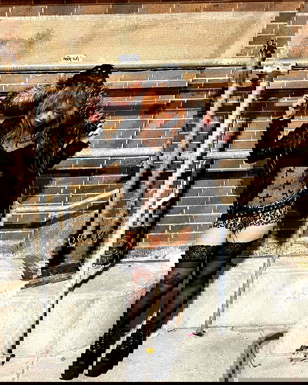 lovemeize lovemeize archive image