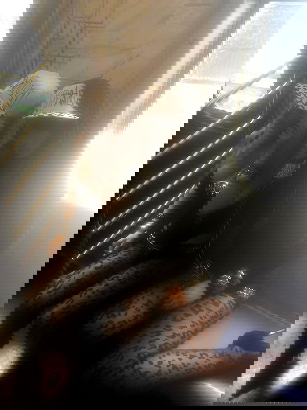 lovemeize lovemeize archive image