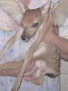 lovingmeg Altpins Profile Picture