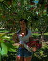 luciamanfredii Altpins Profile Picture