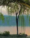 luciamanfredii Altpins Profile Picture