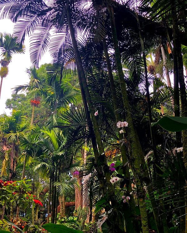 luciamanfredii instagram image archive image
