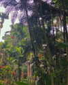 luciamanfredii Altpins Profile Picture