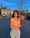 luciamanfredii Altpins Profile Picture