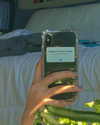 luciamanfredii Altpins Profile Picture