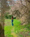 luciamanfredii Altpins Profile Picture