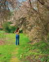 luciamanfredii Altpins Profile Picture