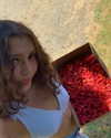 luciamanfredii Altpins Profile Picture