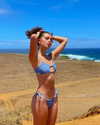luciamanfredii Altpins Profile Picture