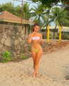 luciamanfredii Altpins Profile Picture