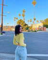 luciamanfredii Altpins Profile Picture