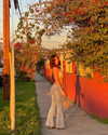luciamanfredii Altpins Profile Picture