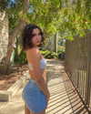 luciamanfredii Altpins Profile Picture