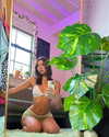 luciamanfredii Altpins Profile Picture