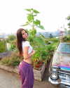 luciamanfredii Altpins Profile Picture