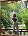 luciamanfredii Altpins Profile Picture