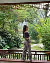 luciamanfredii Altpins Profile Picture