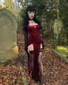 luseryadark Altpins Profile Picture