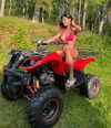 luuminizer Altpins Profile Picture