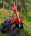 luuminizer Altpins Profile Picture