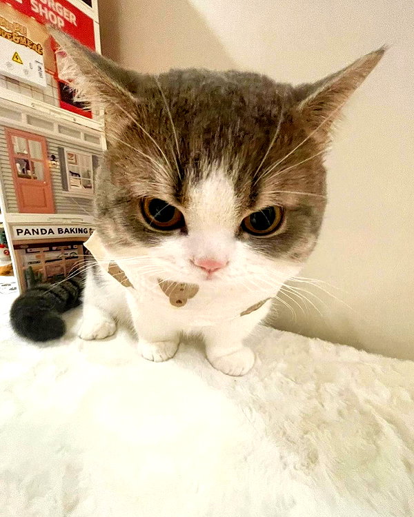 luuminizer instagram image archive image
