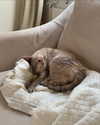 luuminizer Altpins Profile Picture