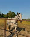 luuminizer Altpins Profile Picture