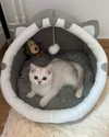 luuminizer Altpins Profile Picture