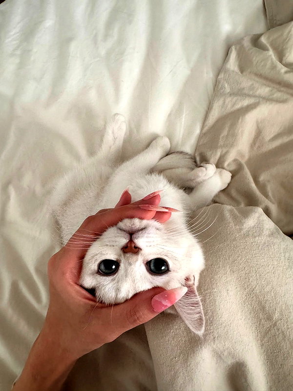 luuminizer instagram image archive image