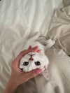 luuminizer Altpins Profile Picture