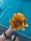 luuminizer Altpins Profile Picture